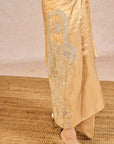 Chandni Fusion Set