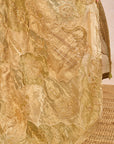 Fasl E Gul Saree