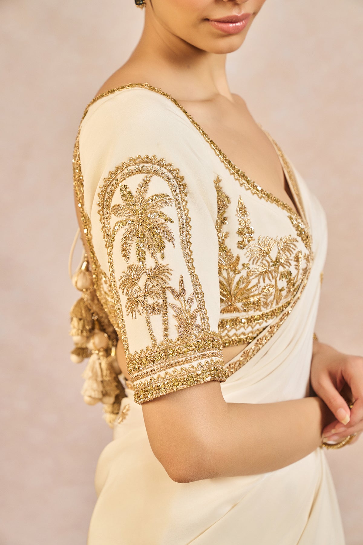 Namkeen Saree