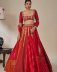 'Rango Sa Jahan' Lehenga in Red