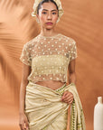Sage Green Striped All Fours Saree