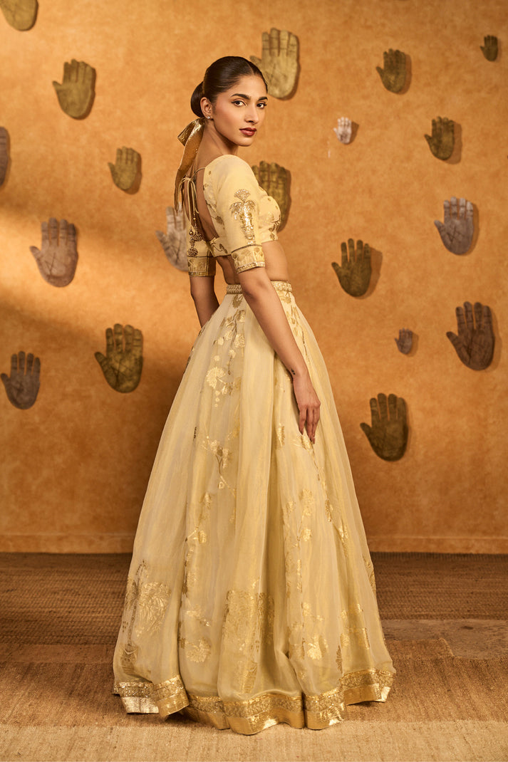 Ivory Sakura Tissue Lehenga Set
