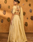 Ivory Sakura Tissue Lehenga Set