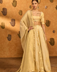 Ivory Sakura Tissue Lehenga Set
