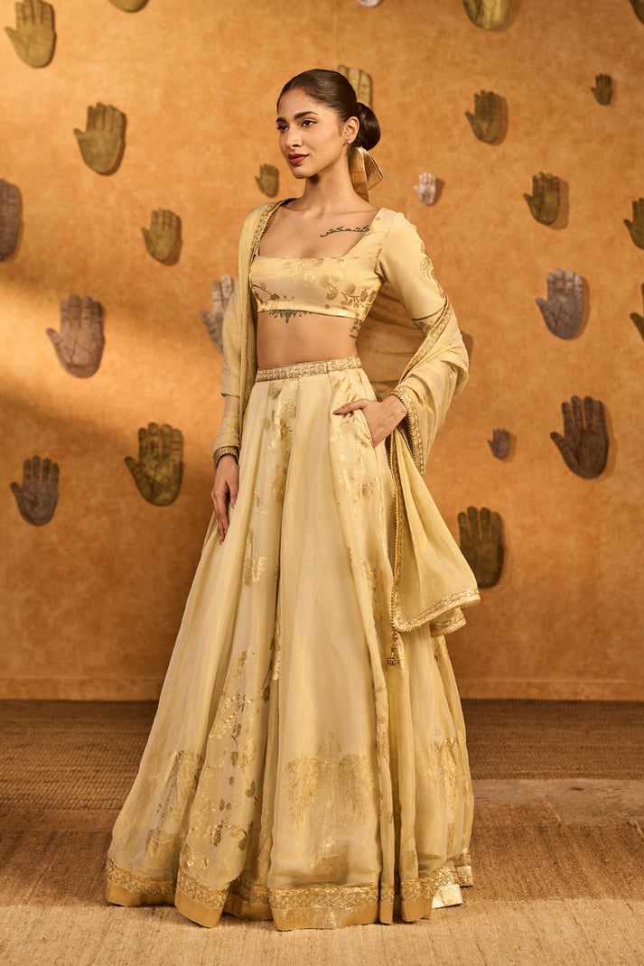 Ivory Sakura Tissue Lehenga Set
