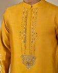 Amber Celestial Tales Kurta Set