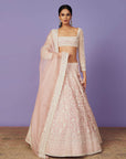 Saahira Lehenga Set