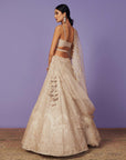 Mayura Lehenga Set