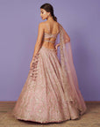 Tara Lehenga Set