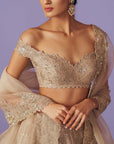 Tara Lehenga Set