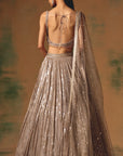 The Champagne Glow Lehenga Set - Ready to Ship