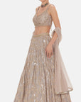 The Muted Champagne Lehenga - Ready to Ship