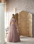 Champagne Blush Embroidered Lehenga Set