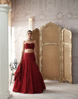 Crimson Revierie Embroidered Lehenga Set