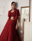 Crimson Revierie Embroidered Lehenga Set