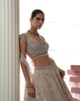 Champagne Opal Embroidered Lehenga Set