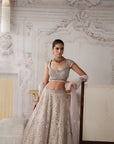 Champagne Opal Embroidered Lehenga Set
