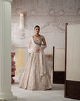 Champagne Opal Embroidered Lehenga Set