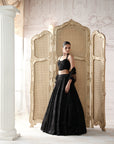 Noir Etoile Embroidered Lehenga Set