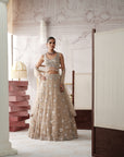 Champagne Radiance Embroidered Lehenga Set