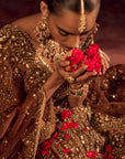 Mocha Naira Lehenga Set