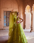 Nohreen Lehenga