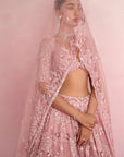 Blush Pink Lehenga Set
