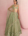 Sage Green Lehenga Set