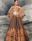 Rust Orange Chevron Skirt Set | Baroda
