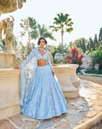 Powder Blue Three-Dimensional Lehenga Set