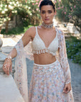 Multi-Coloured Pearl Lehenga Set