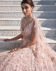 Powder Peach Cut Work Lehenga Set