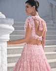 Pink Cut Work Lehenga Set