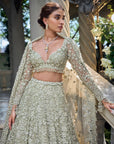 Sage Green Three-Dimensional Lehenga Set