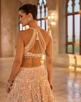 Multi-Coloured Three-Dimensional Floral Lehenga Set