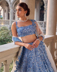 Blue Cut Work Lehenga Set - Ready to Ship