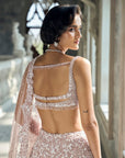 Mauve Sequin Lehenga Set