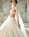 Multi-Coloured Sequin Lehenga Set