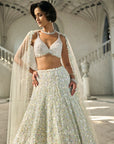 Multi-Coloured Sequin Lehenga Set