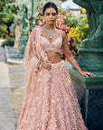 Peach Three-Dimensional Lehenga Set
