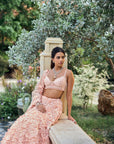 Peach Three-Dimensional Lehenga Set