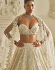 Multi-Coloured Three-Dimensional Lehenga Set