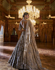 Antique Brown Tissue lehenga Set