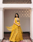 Dia Cape Lehenga Set