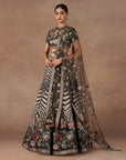 Sage Green Lehenga Set