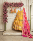 Kashmiri Yellow