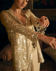 Silver Mirror work Jacket Saree 6