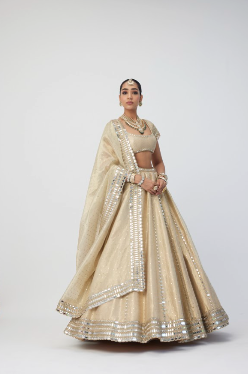 Golden Shimmer Organza Linear Lehenga Set - Ready to Ship