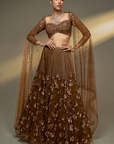 Copper Gold Lehenga Set