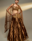 Copper Gold Embroidered Lehenga Set